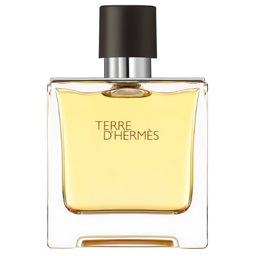 عطر هيرميس تير دي هيرميس بيور للرجال 75 مل - 1