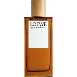 Loewe Solo Edt100 ML Men's Perfume - Vip Perfumes