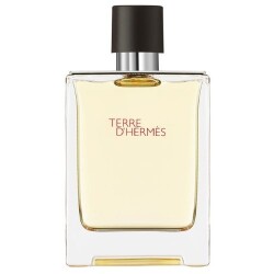 Hermes Terre D'Hermes Edt 100 ML Men's Perfume - 1