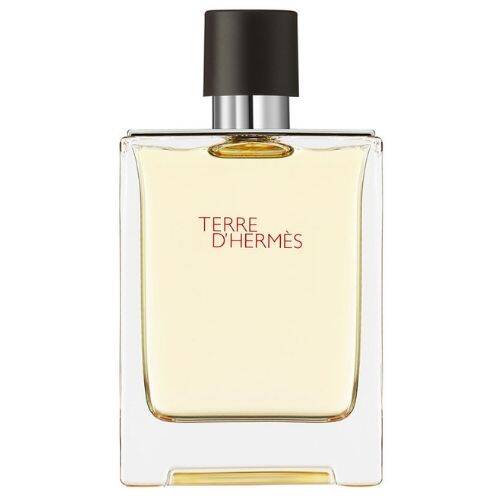 Hermes Terre D'Hermes Edt 100 ML Men's Perfume - 1