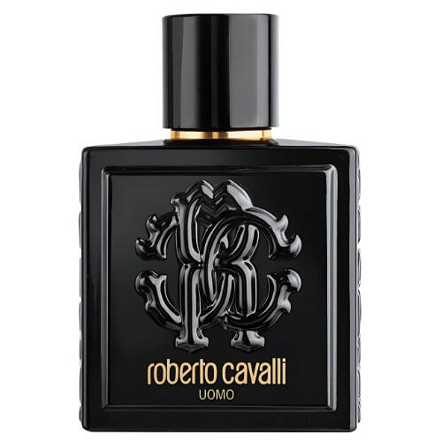 Roberto Cavalli Uomo Edt 100 ML - 1